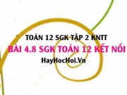 Bài 4.8 SGK Toán 12 tập 2 Kết nối tri thức